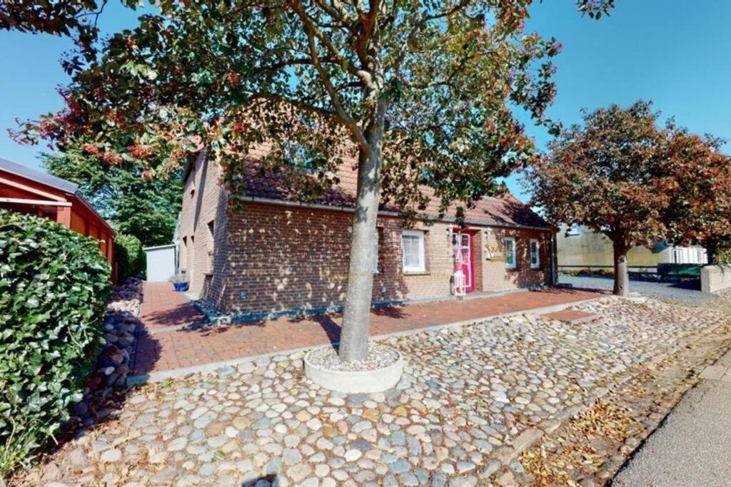 Idyllisches Grosses Ferienhaus Fehmarn Exterior photo